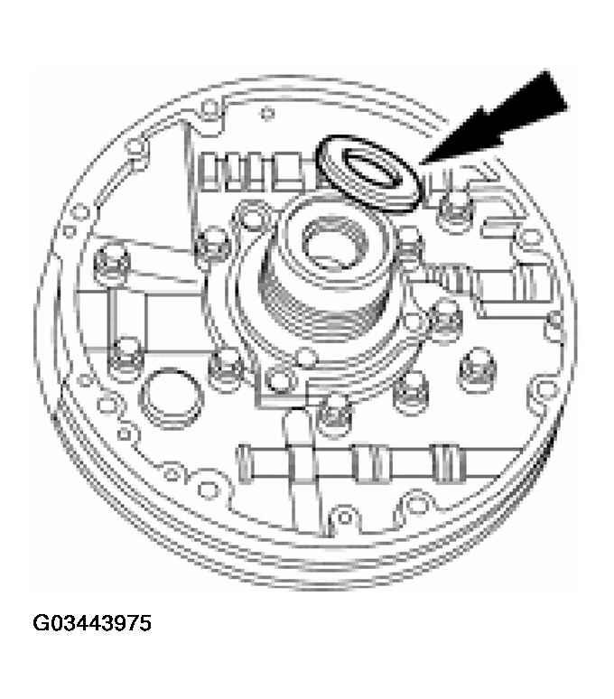 G03443975