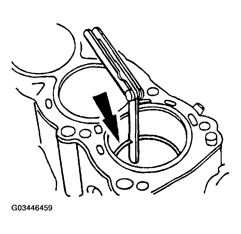 G03446459