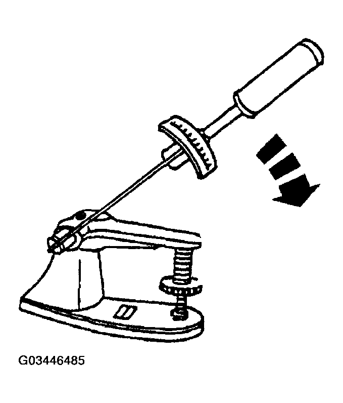 G03446485