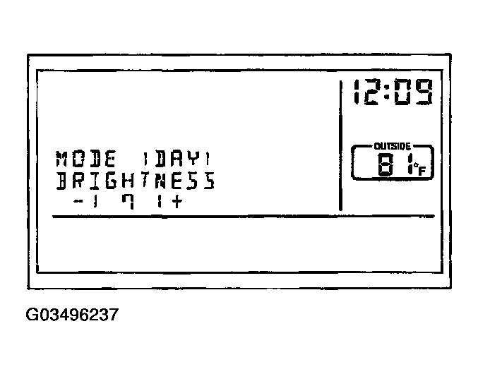 G03496237