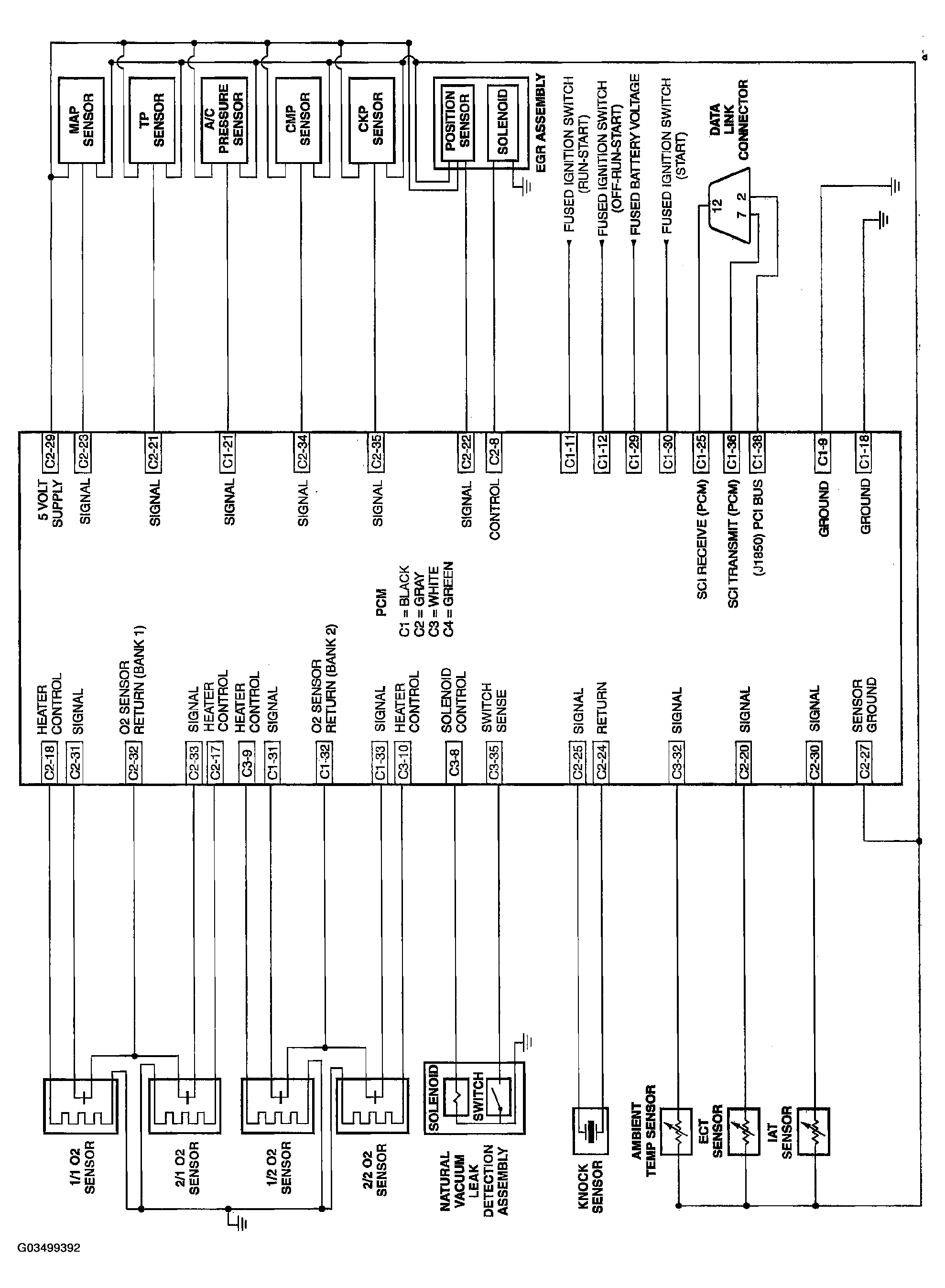 G03499392