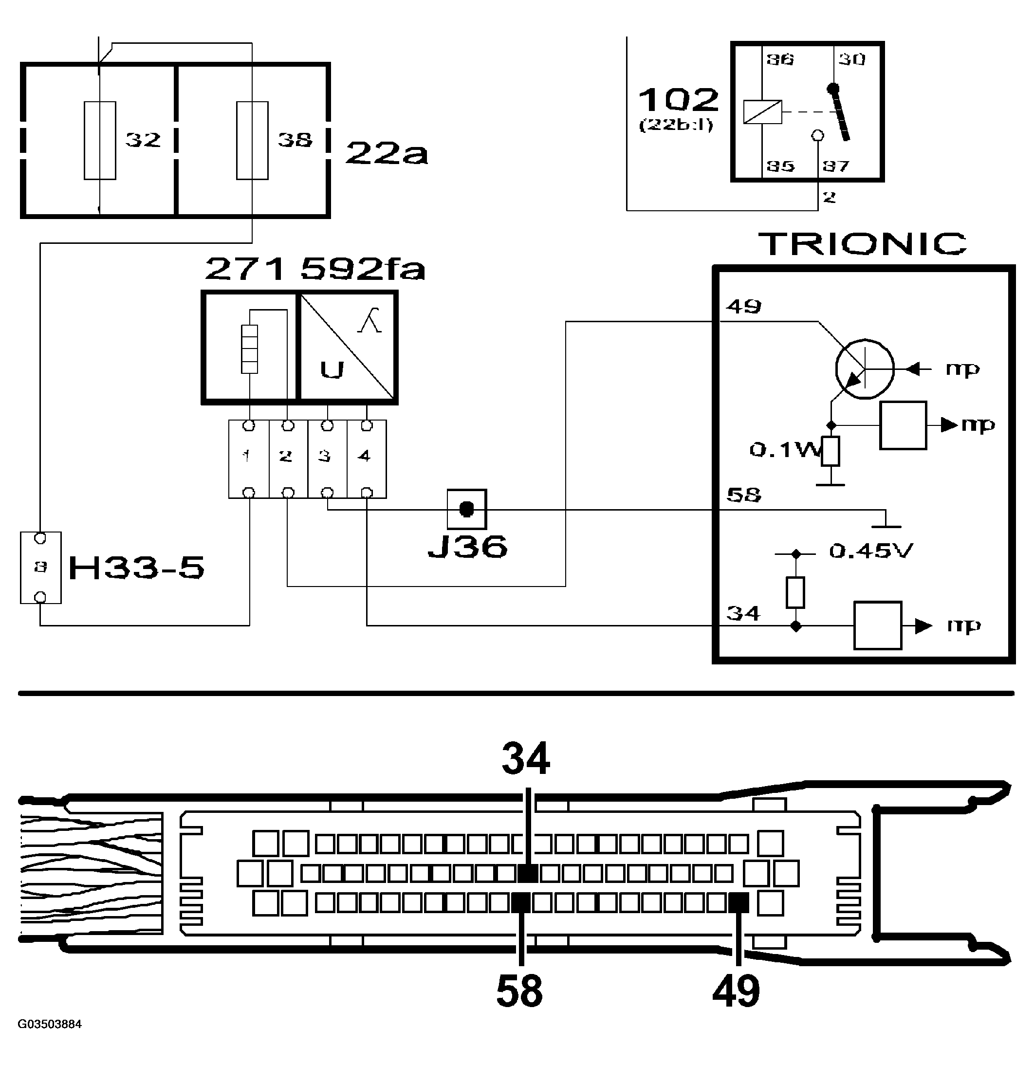 G03503884