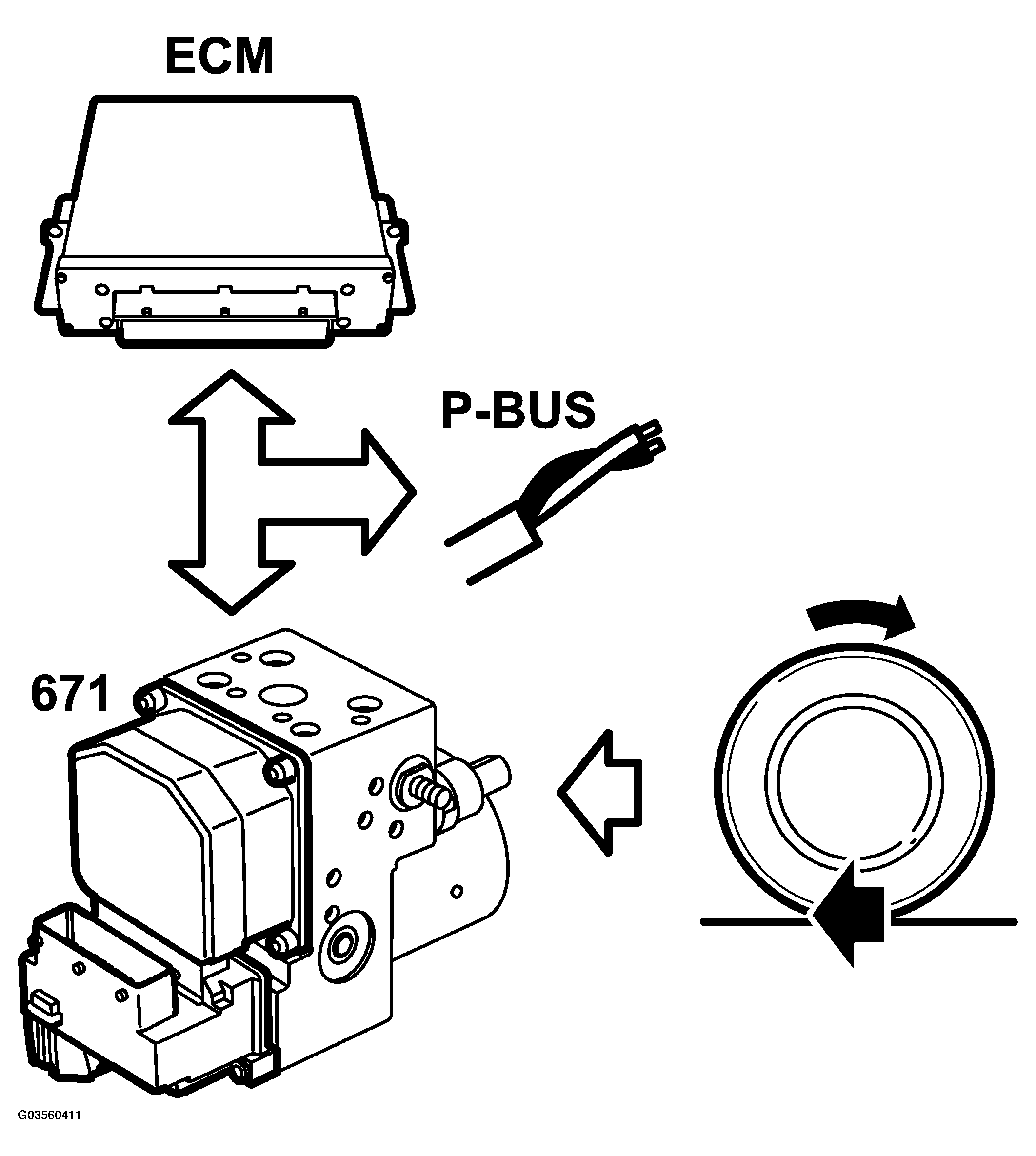 G03560411