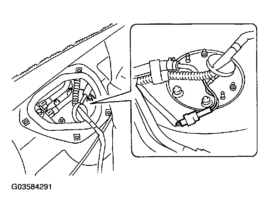 G03584291
