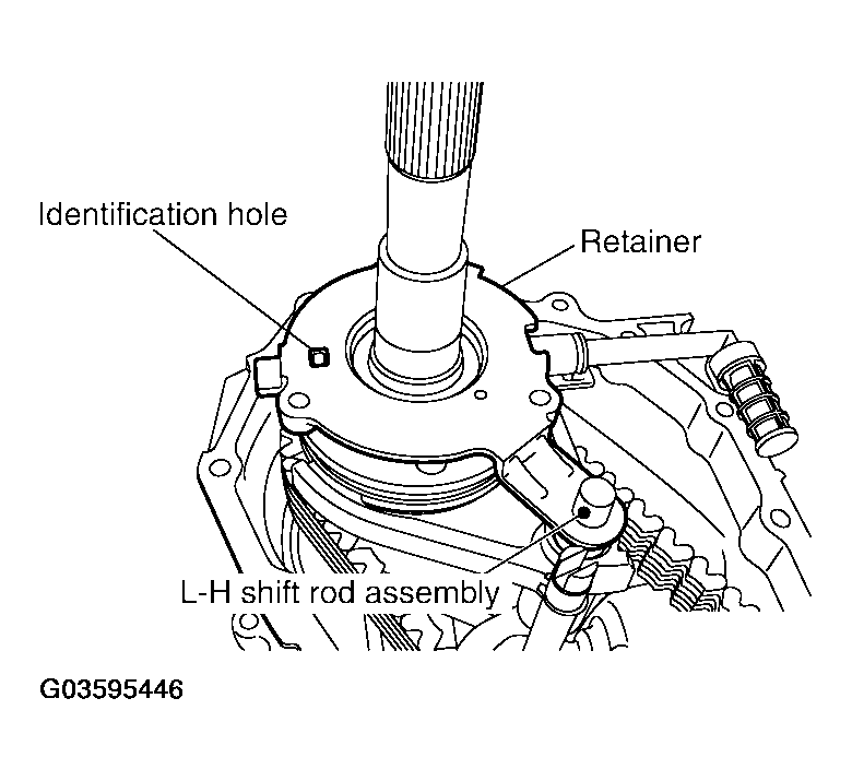 G03595446