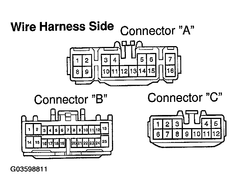 G03598811