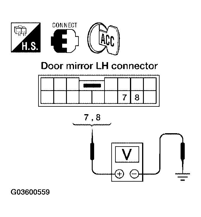 G03600559
