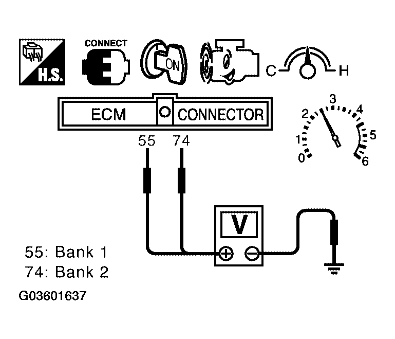 G03601637