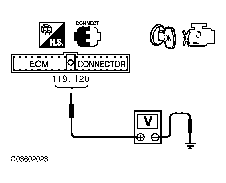 G03602023