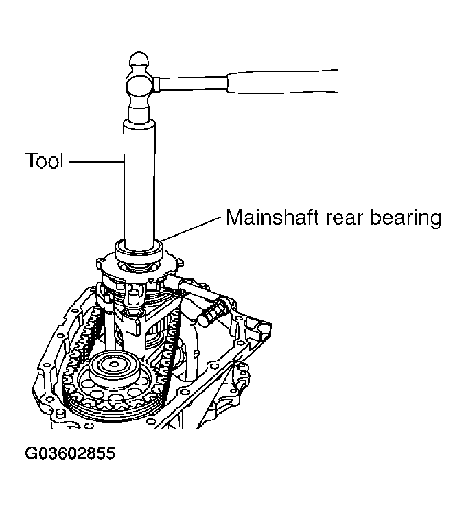 G03602855