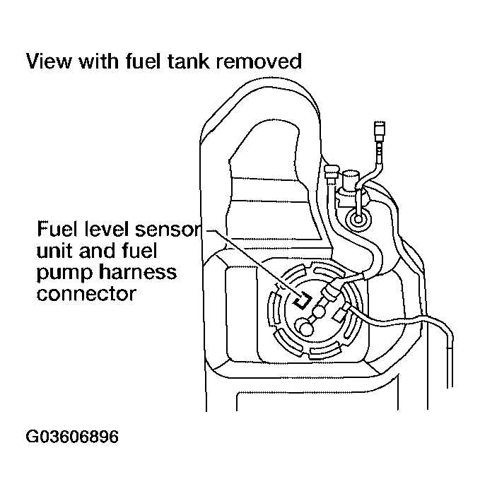 G03606896