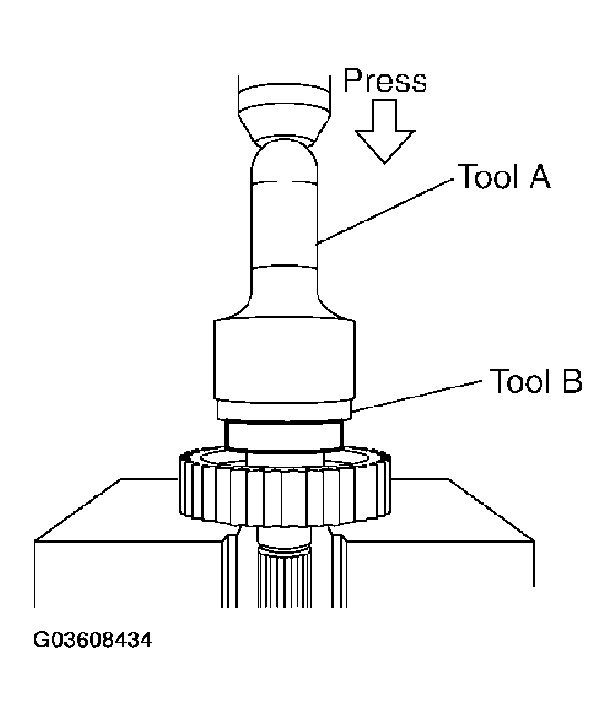 G03608434
