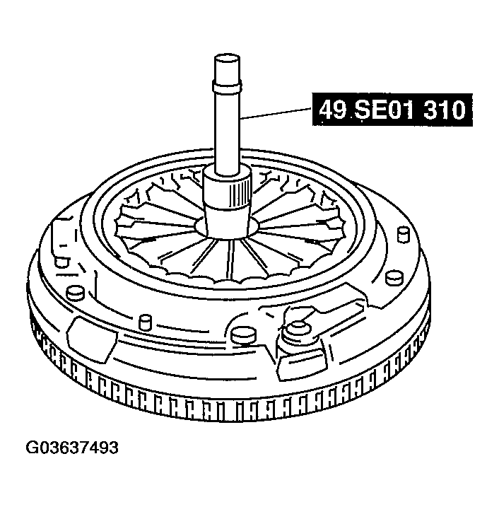 G03637493
