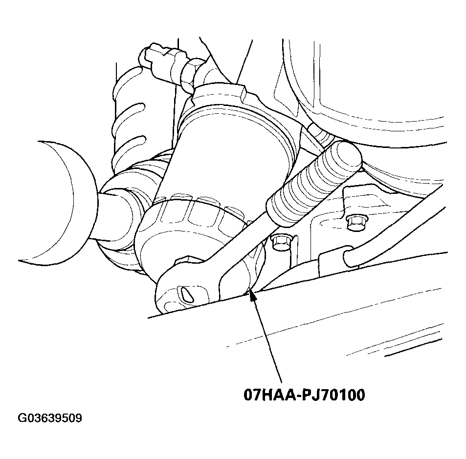 G03639509