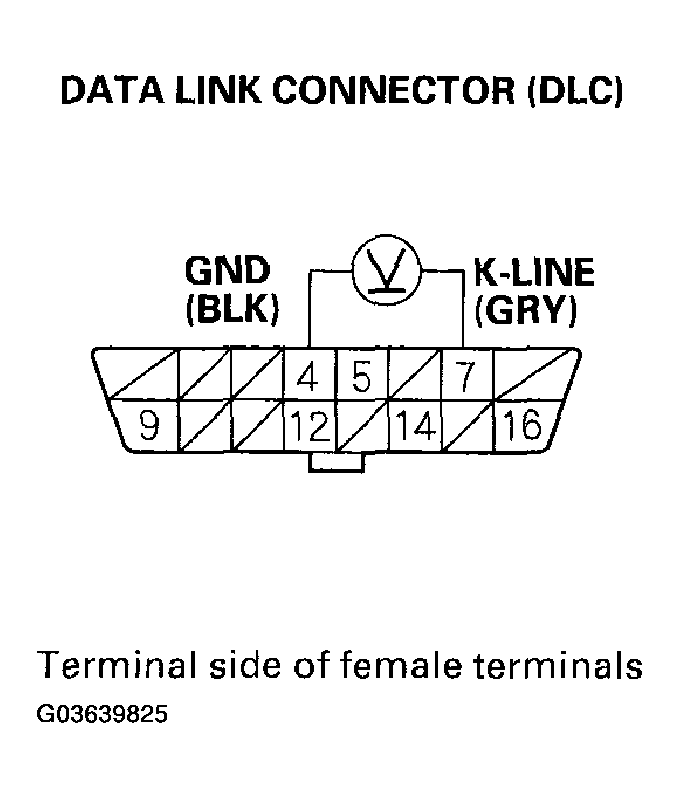 G03639825