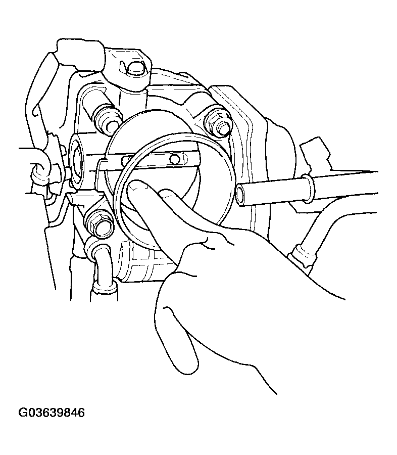 G03639846