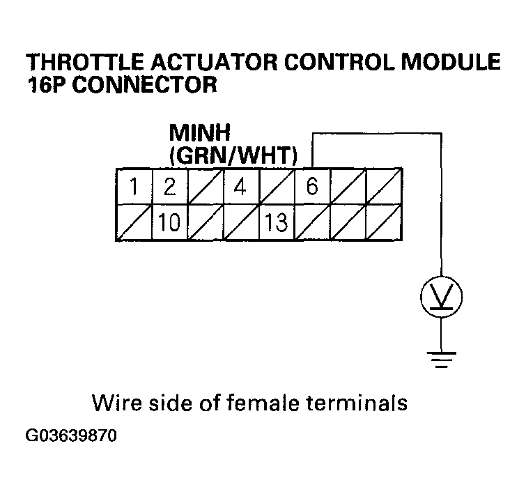 G03639870