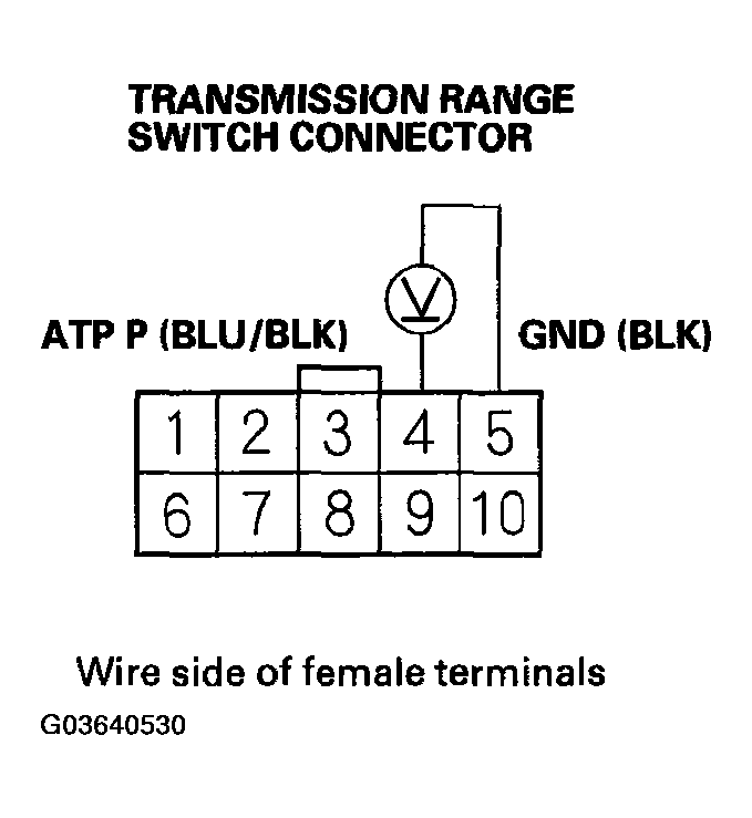 G03640530