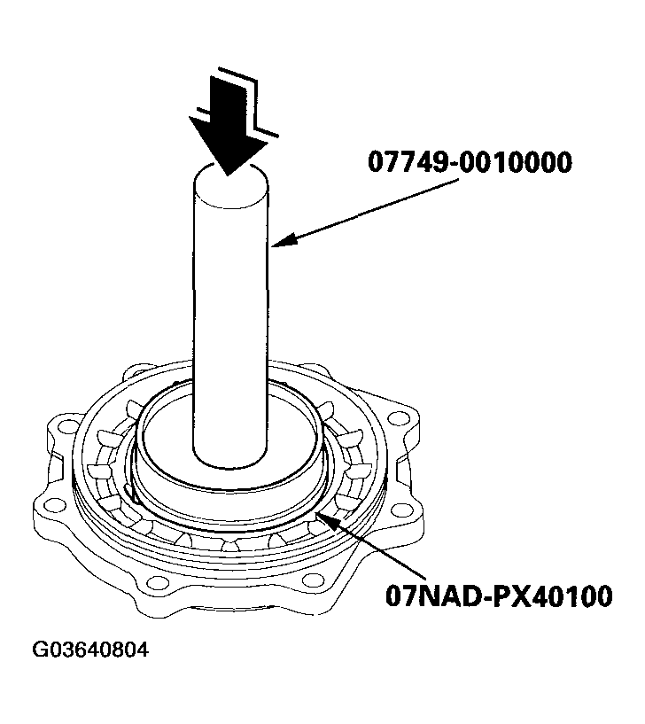 G03640804