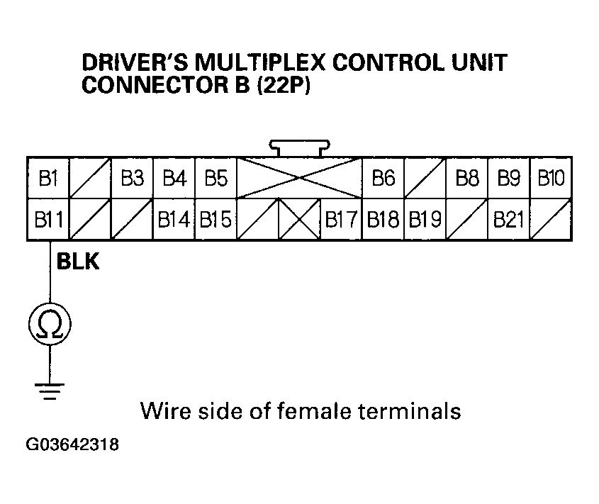 G03642318