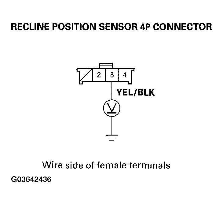 G03642436