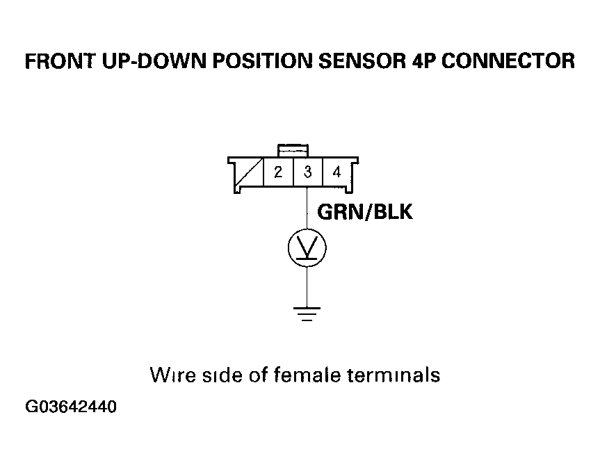 G03642440
