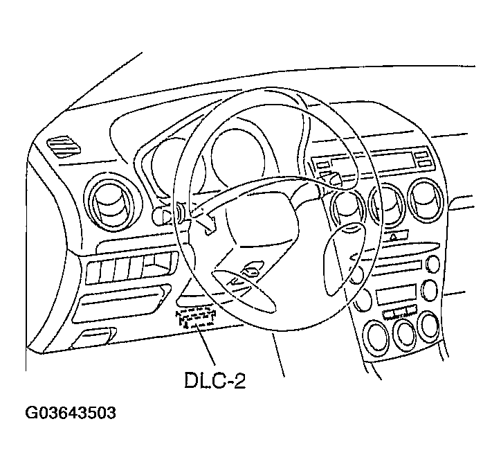 G03643503