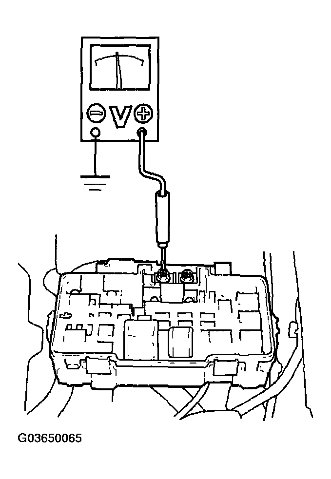 G03650065