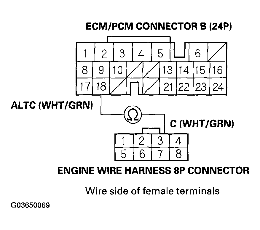 G03650069