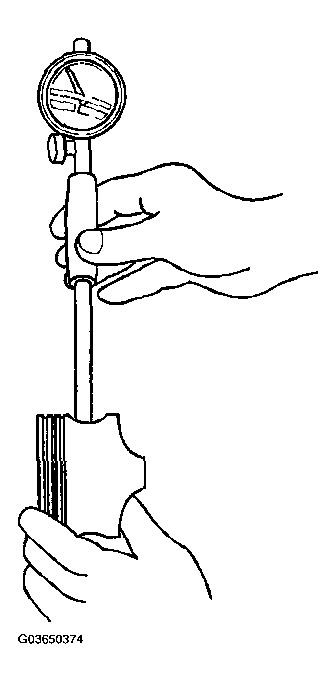 G03650374