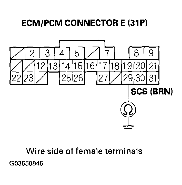 G03650846