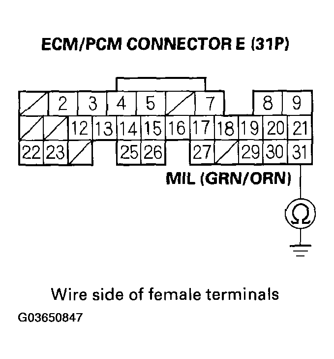 G03650847