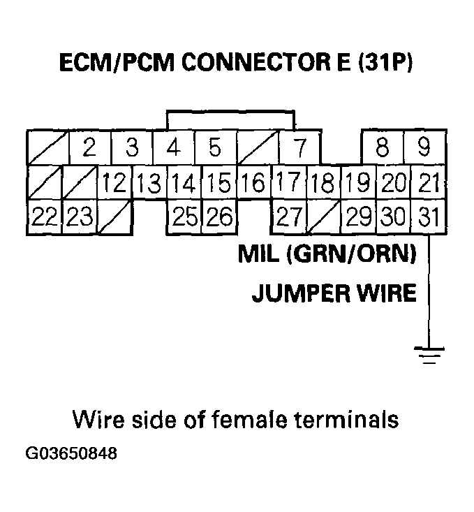 G03650848