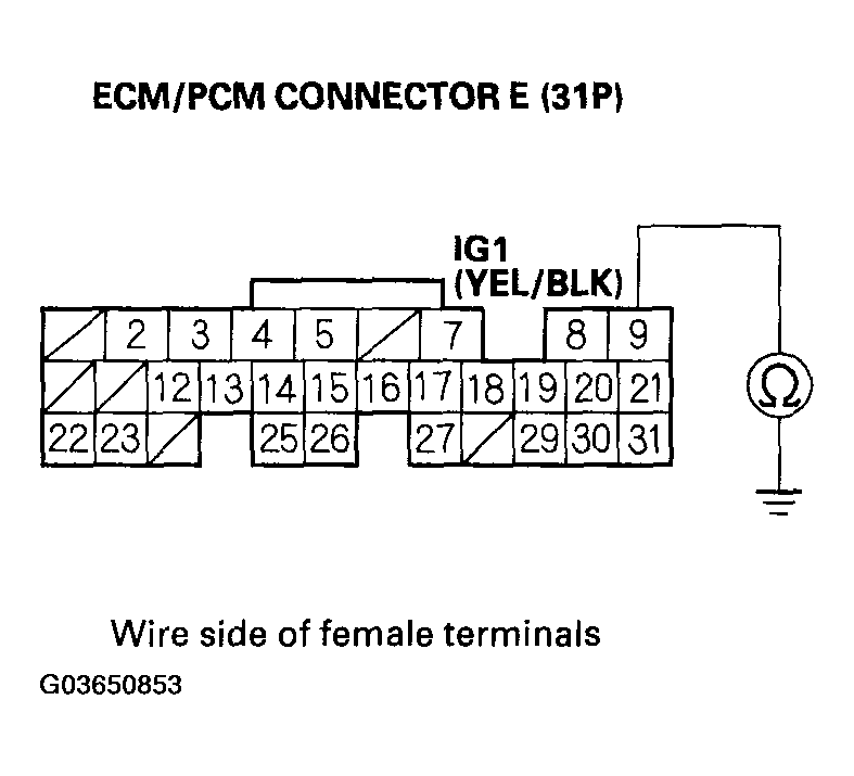 G03650853
