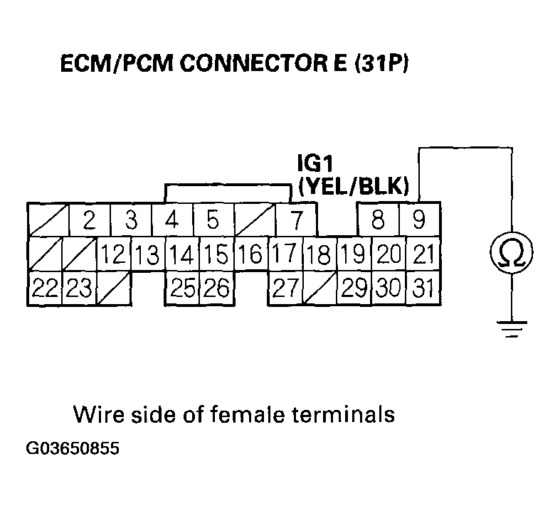 G03650855