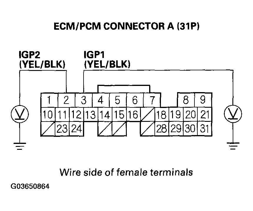 G03650864