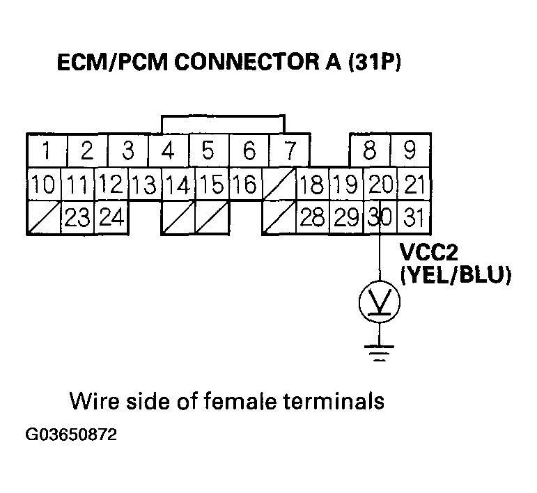 G03650872