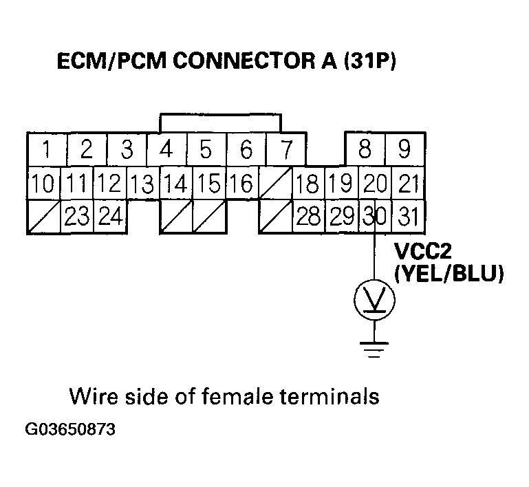 G03650873