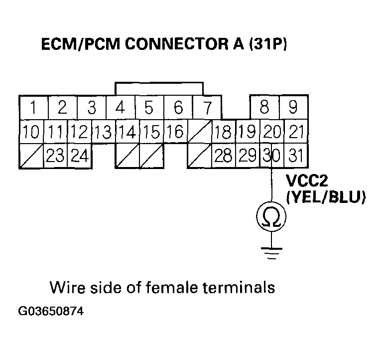 G03650874