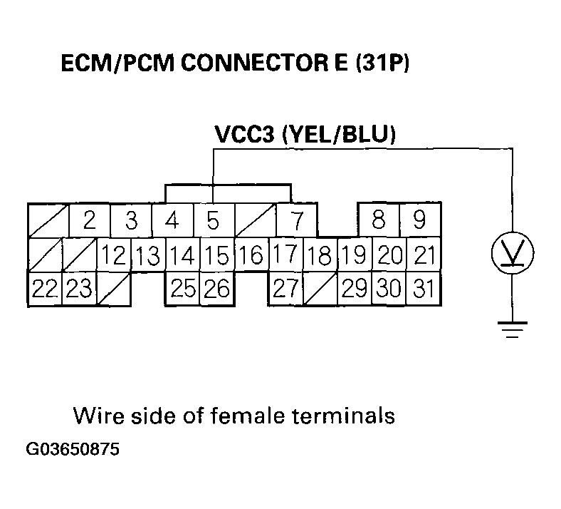 G03650875