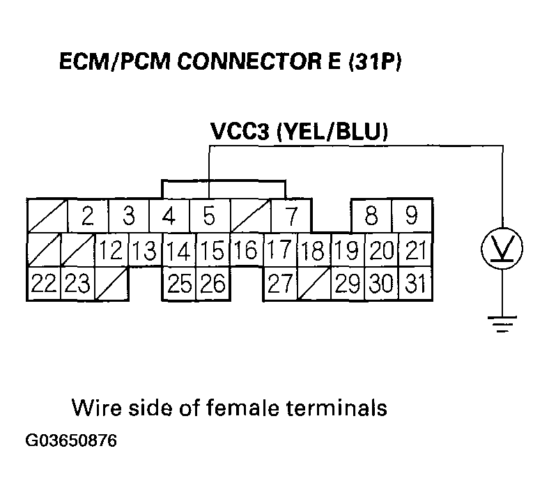 G03650876