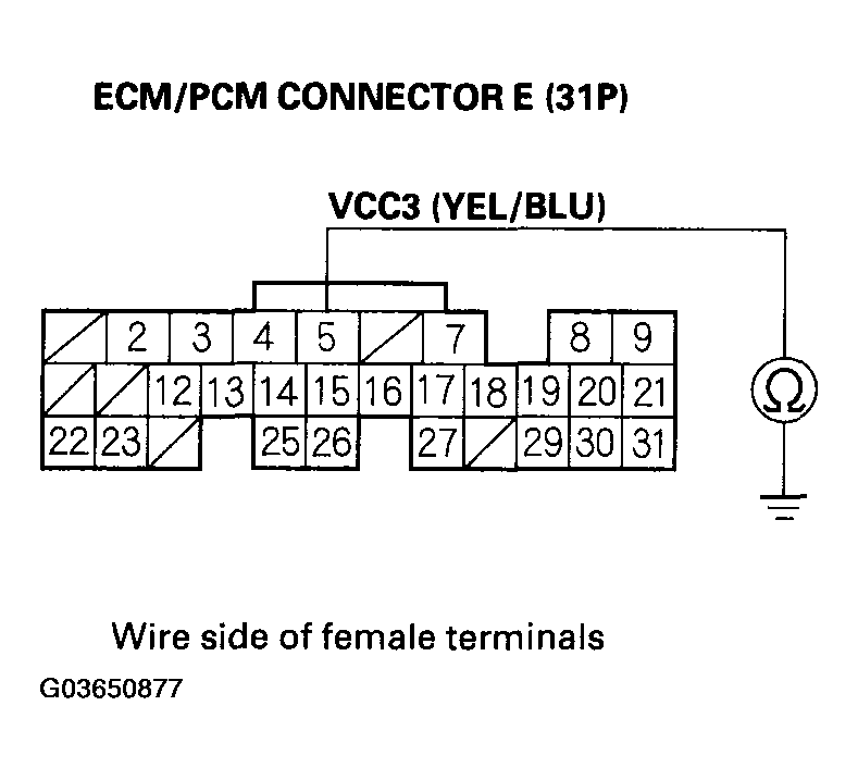 G03650877
