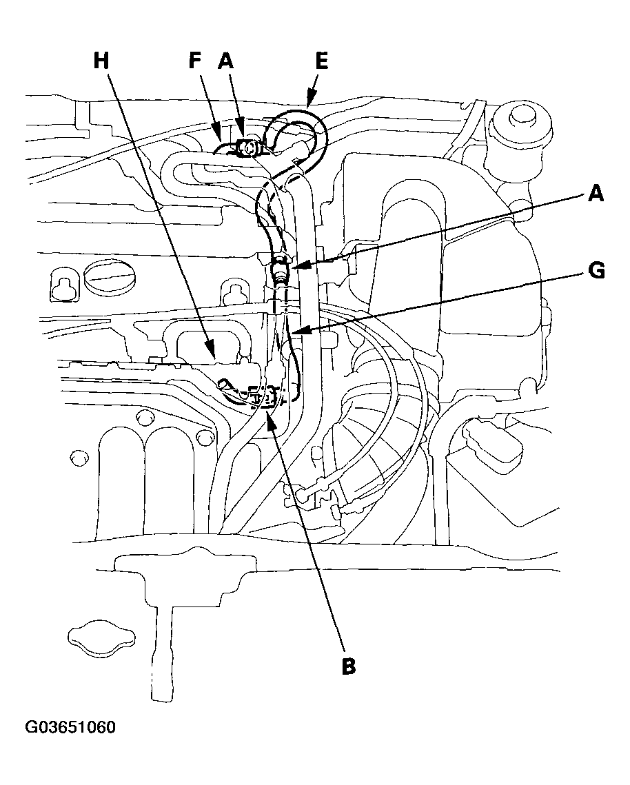 G03651060