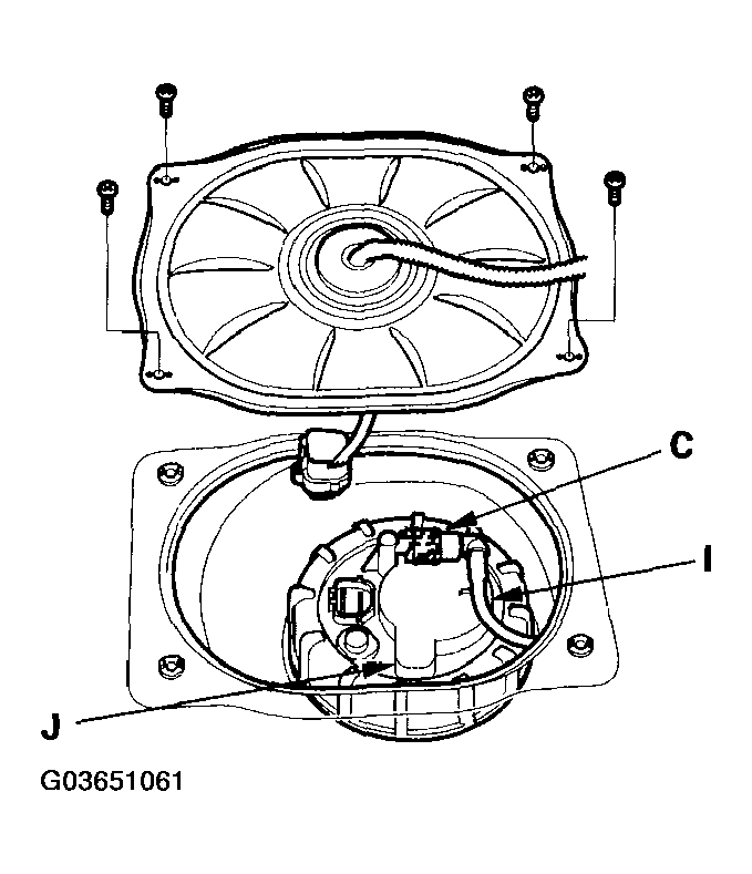 G03651061