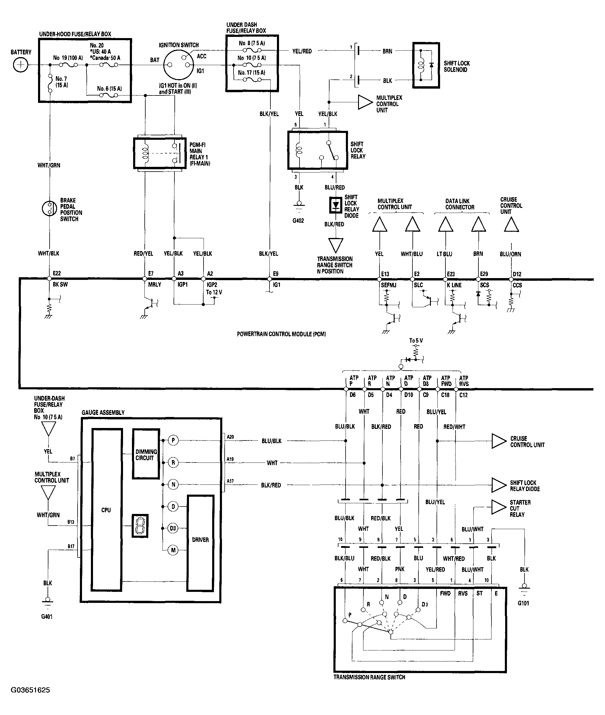 G03651625