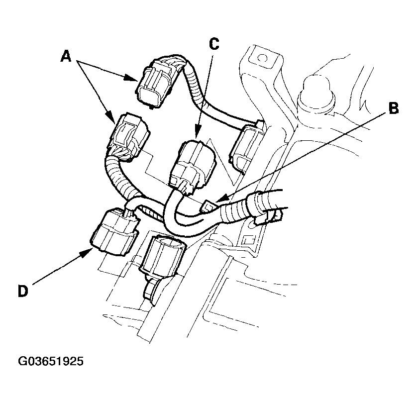 G03651925