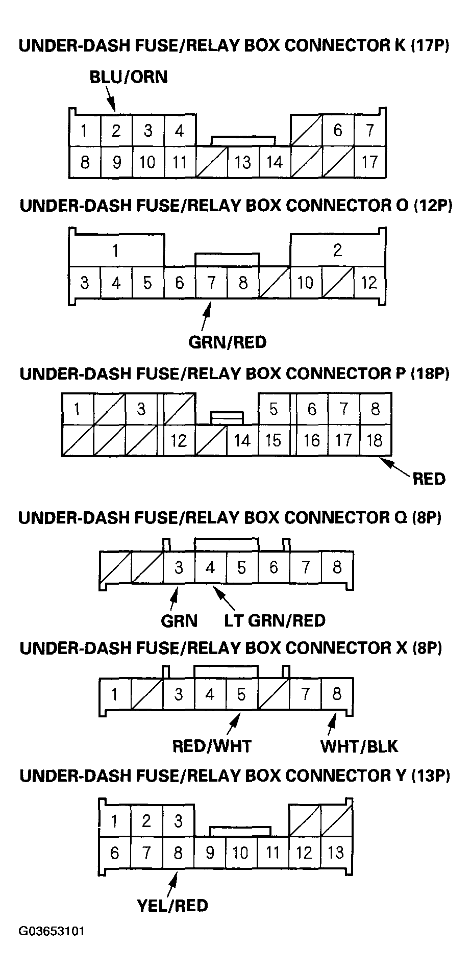 G03653101