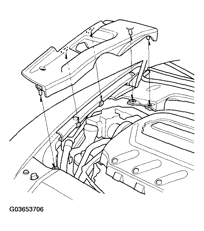 G03653706