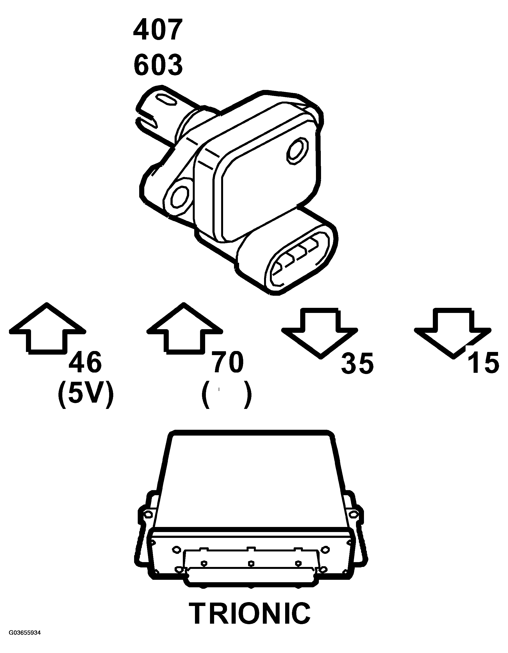 G03655934