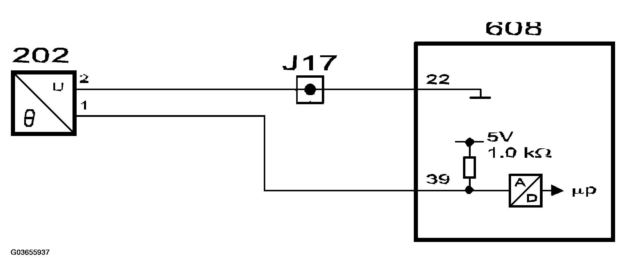 G03655937